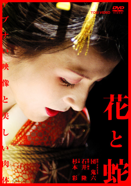 宣伝ヴィジュアル(ポスター・チラシ)